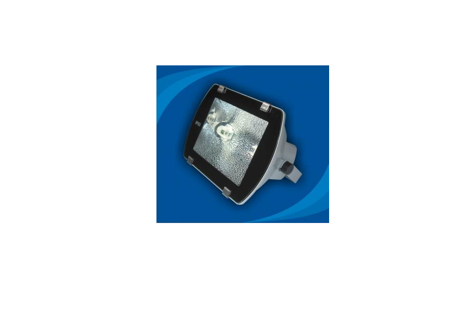 Đèn pha chống thấm nước - POLB15065 (DPP 004)