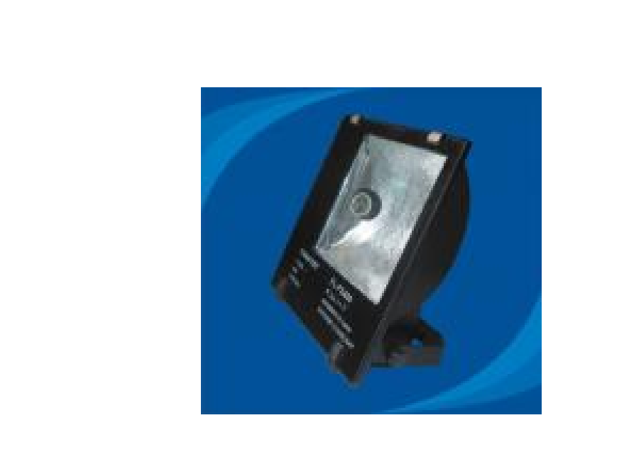 Đèn pha chống thấm nước - POLA40065 (DPP 001)