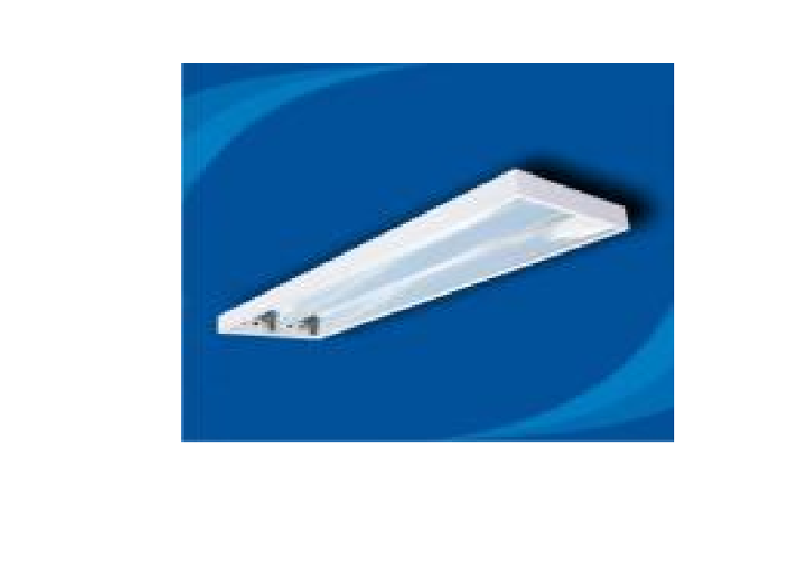 Máng đèn huỳnh quang công nghiệp - PSFE
