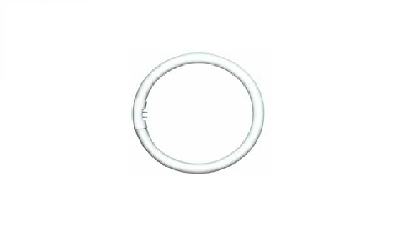 Bóng huỳnh quang vòng TL5 Circular Essential - PHILIPS