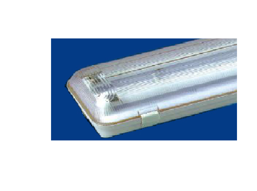 Đèn chống thấm, chống bụi PARAGON - PIFI