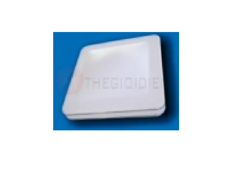 Đèn ốp trần OLL - Paragon