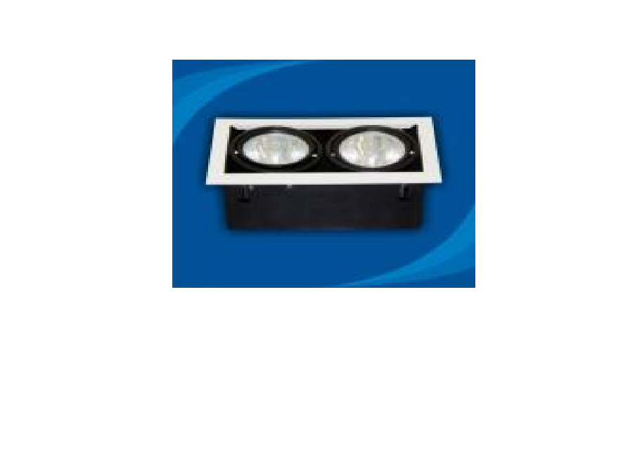 Đèn rọi âm trần Paragon - OLK270G12(DLK1204)