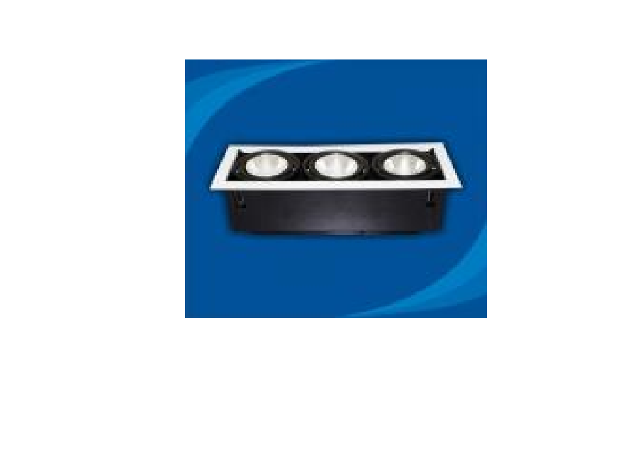 Đèn rọi âm trần Paragon - OLK370G12(DLK1206)