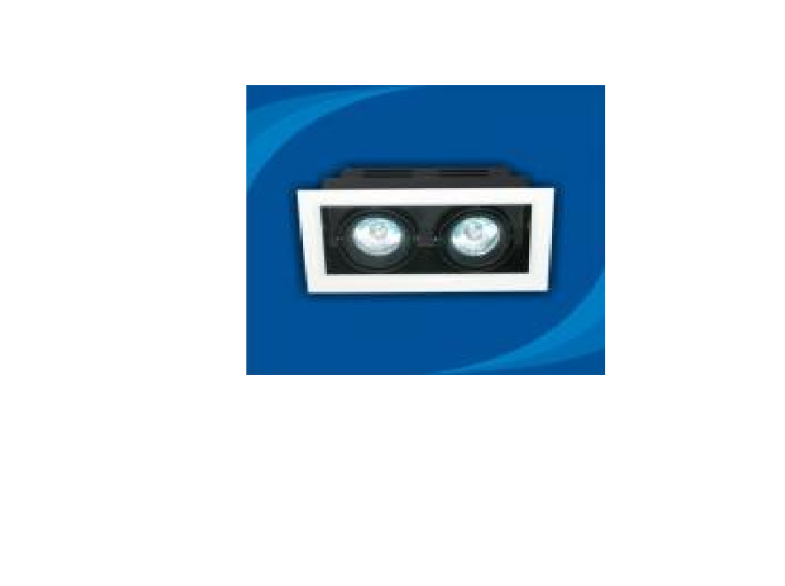 Đèn rọi âm trần bóng Halogen Paragon - OLA250MR16(DLK1185)