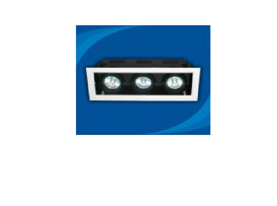 Đèn rọi âm trần bóng Halogen Paragon - OLA350MR16(DLK1186)
