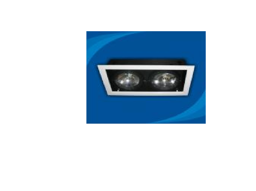 Đèn rọi âm trần bóng halogen - OLB250MR111 (DLK1189)