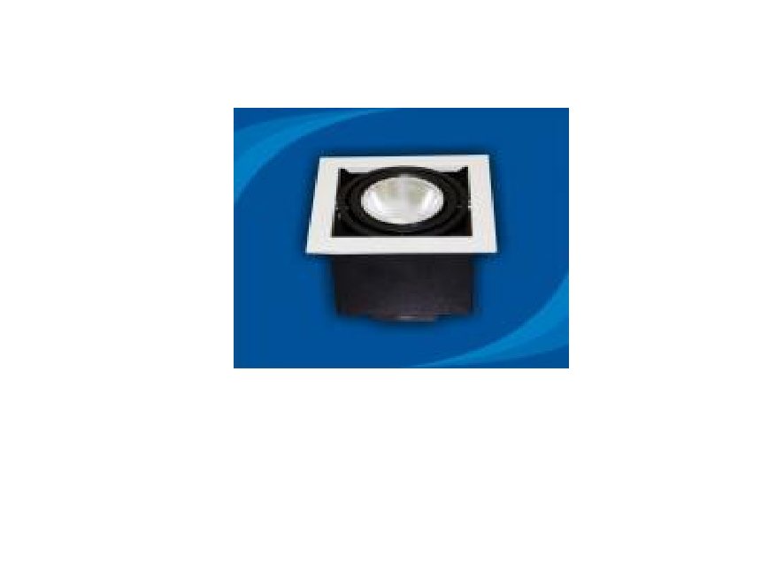 Đèn rọi âm trần bóng PAR30 - OLL170P30 (DLK1203)