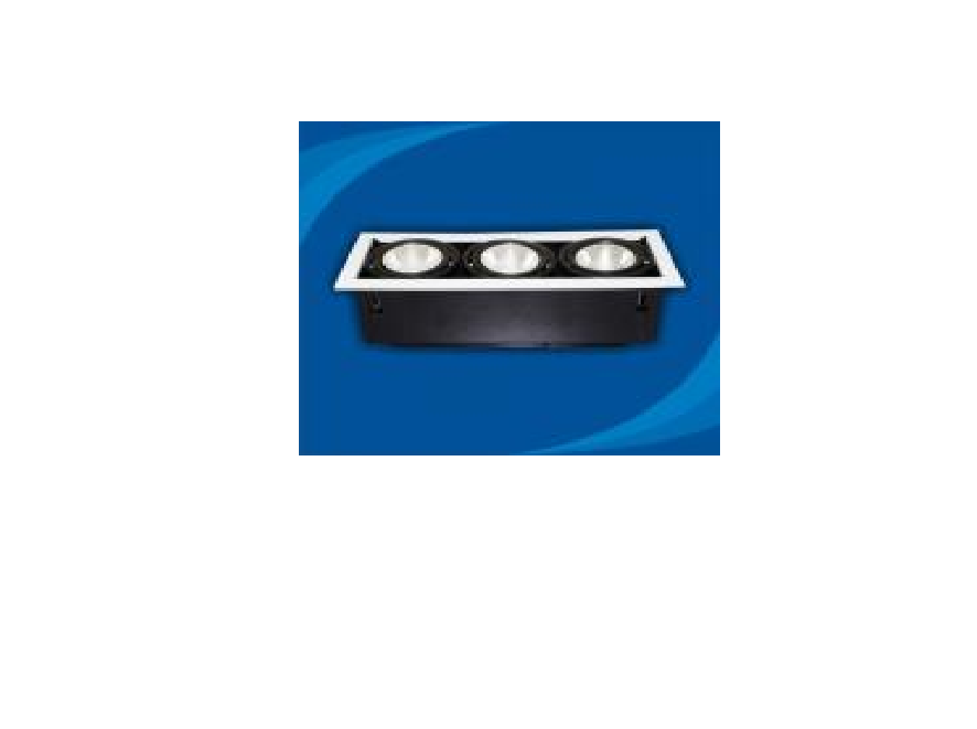 Đèn rọi âm trần bóng PAR30 - OLL370P30 (DLK1207)
