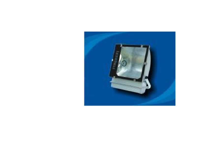  Đèn pha chống thấm bóng cao áp - POLA100065