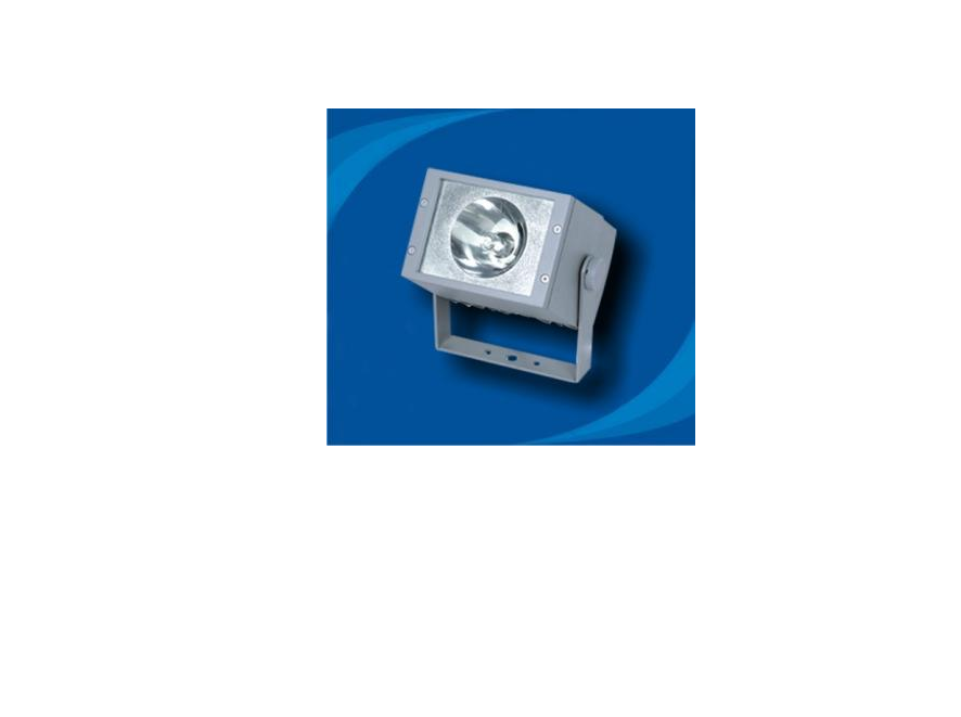 Đèn pha chống thấm bóng Metal halide - POLI7065