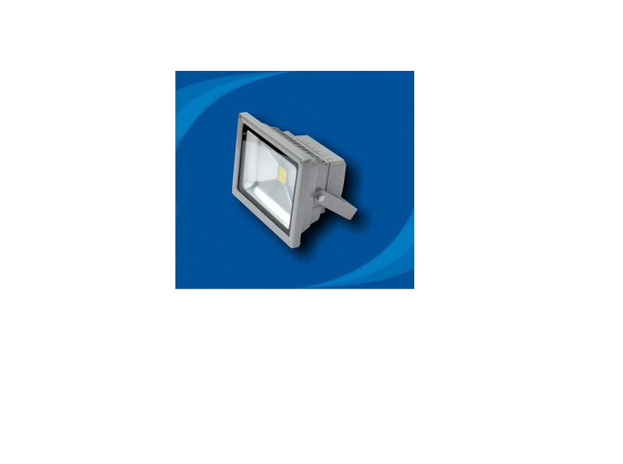 Đèn pha không thấm nước bóng LED - POLH2065
