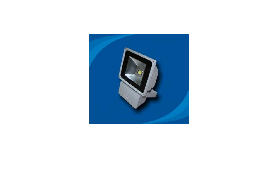 Đèn pha chống thấm nước bóng LED - POLH8065