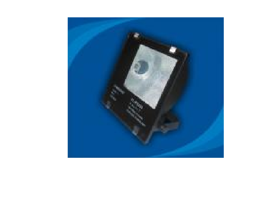 Đèn pha chống thấm nước - POLA25065 (DPP 002)