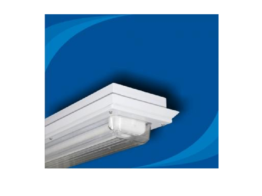 Đèn huỳnh qaung chống nổ - BHY/Q1