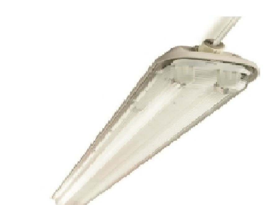 Đèn huỳnh quang chống thấm Z2/22 - TCW216