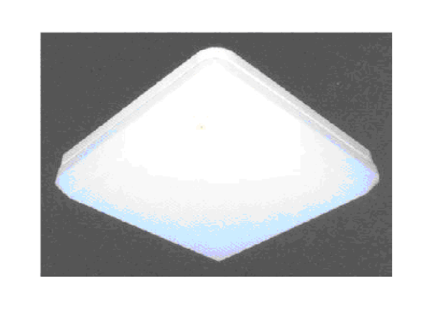 Đèn sự cố PNE  LUMENAX OCTO - LUX